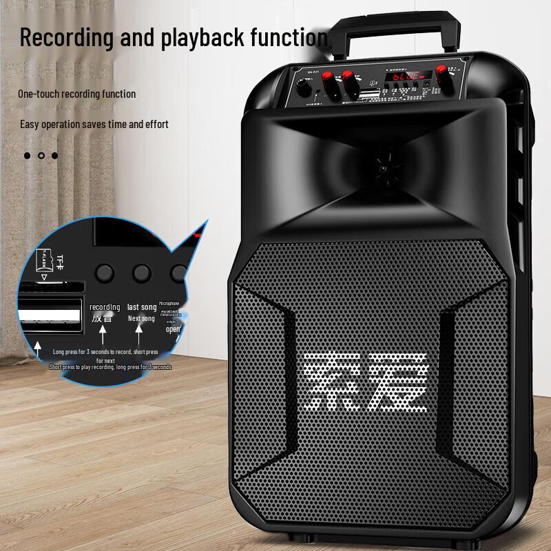 SA-T25 Portable High-Power Outdoor KTV Speaker