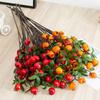 Branch Fruit Hawthorn Hotel Landing Flower Arrangement Decoration Photography