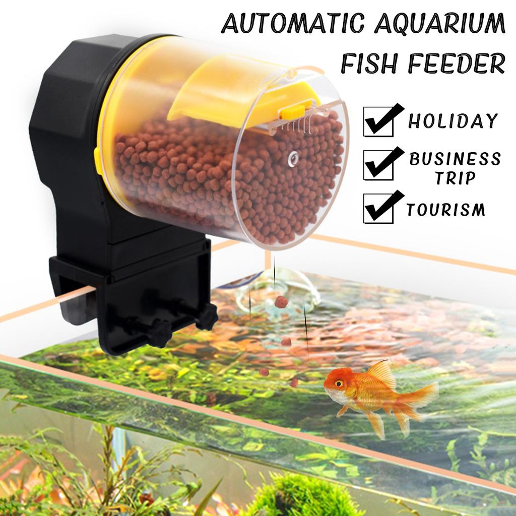 automatic fish tank feeder