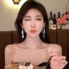 Long Fringed Earrings Niche Design New Light Luxury Stud Earrings Premium Earrings Women
