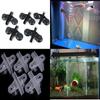 Fische & Meerestiere – Aquarienpflege