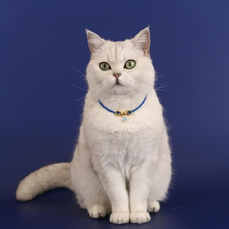 Vintage Cats Pendant Collar for Small Cats Decorative Necklace Collar for Birthday Party Dog Collar Pet Chinese Necklace