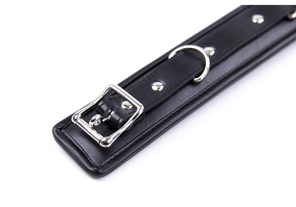Intimate Adult Neckband & Leash Set