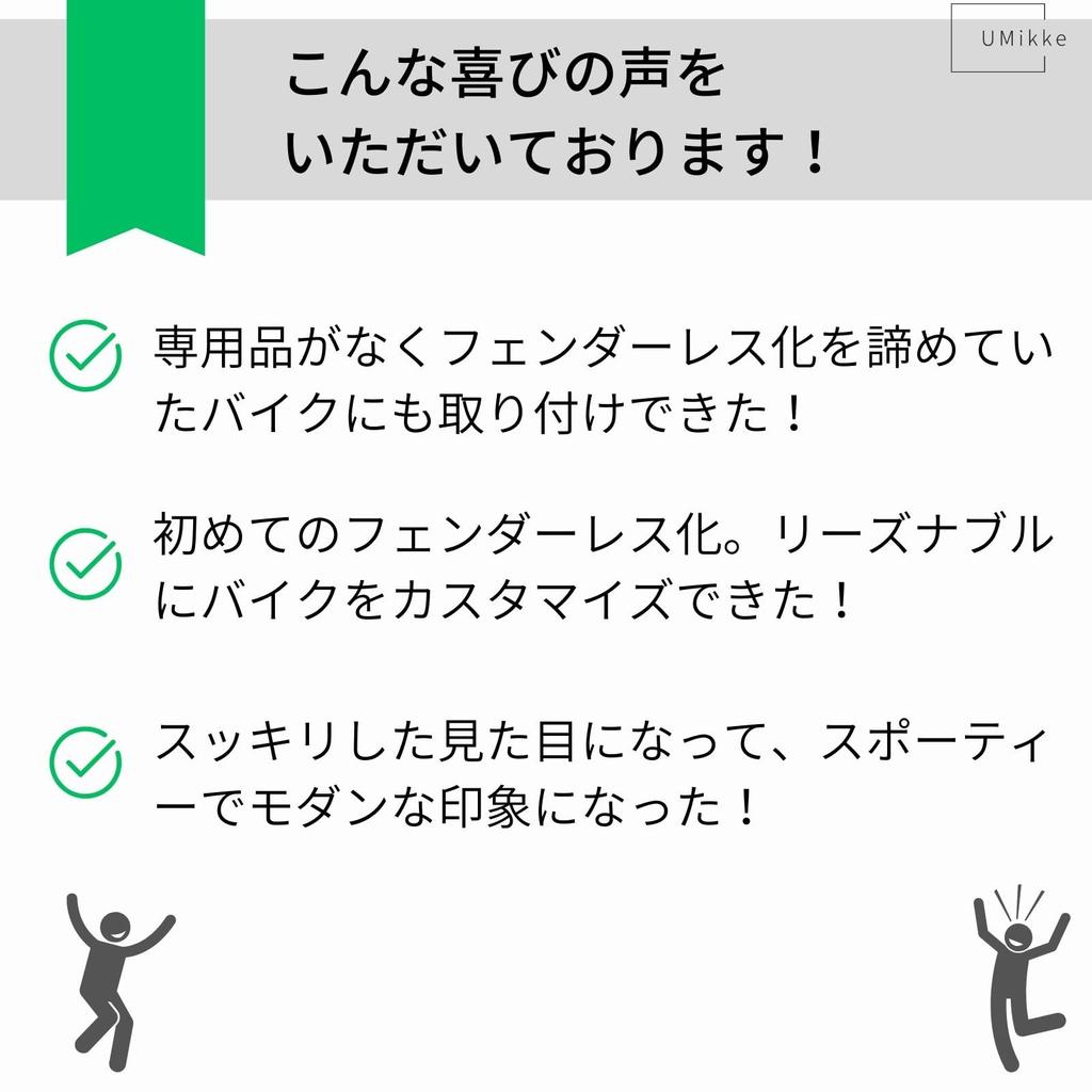 UMikke Motorcycle Fenderless Kit, Universal LED License Plate Light, Reflector, For Turn Signals, With Hole, Custom Parts, Stay Bracket, Black