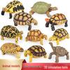 Europäische & Indische Sternschildkröte Simulationsspielzeug für Autodekoration