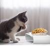 Pet Cat & Dog Transparent Double Bowl - Angled Food & Water Feeder with Neck Protection