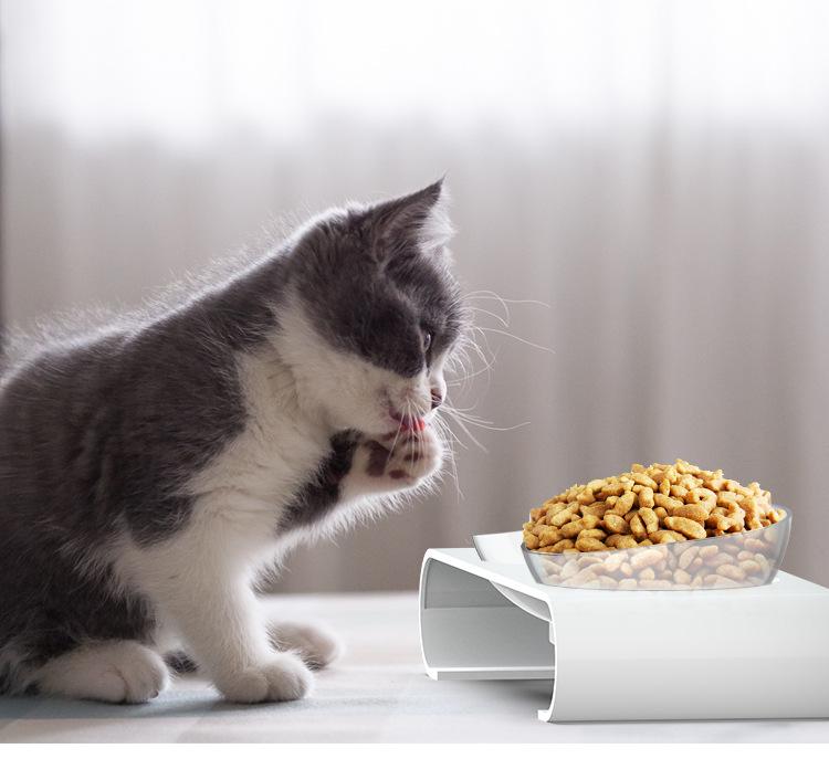 Pet Cat & Dog Transparent Double Bowl - Angled Food & Water Feeder with Neck Protection