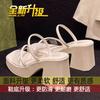 Retro high sense late evening breeze gentle fairy shoes 2025 new summer Internet celebrity black thick high heel sandals women
