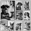 Funny Animal Collies Drinking Champagne Minimalist Animal Portraits Poster Canvas Paintings Wall Art Pictures Home Decor