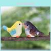 Adorable Cartoon Bird Resin Figurine For Mini Plant Landscape And Garden Decor
