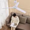 27.5inch Small Ceiling Fan 3 Blade Modern Indoor Outdoor Ceiling Fan with Quiet Motor for Bedroom 220V 50Hz