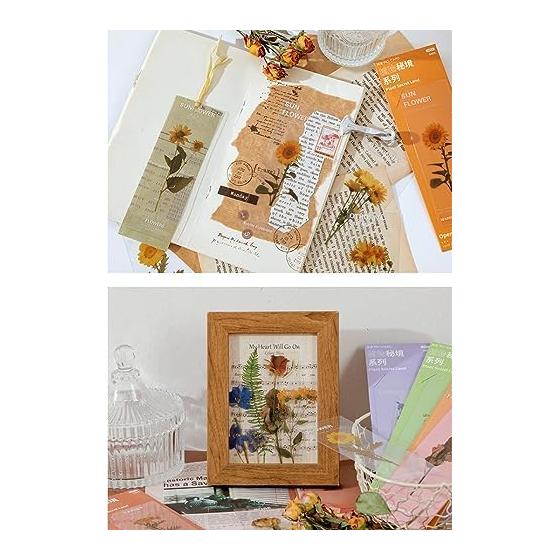 Moin Moin Bookmark Set - 30 Transparent Floral Designs with English Flower Names, Waterproof PET, Approx. 5cm X 14cm - Perfect for Readers and Gifts