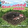Starnosed Mole by Dom Conlon Paperback Book 9780008704032
