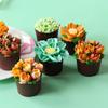 6PCS Piping Tips Set Flower Frosting Tips Nozzles Icing Tips Stainless Steel Flower Cake Icing Piping Nozzles Decorating Tips