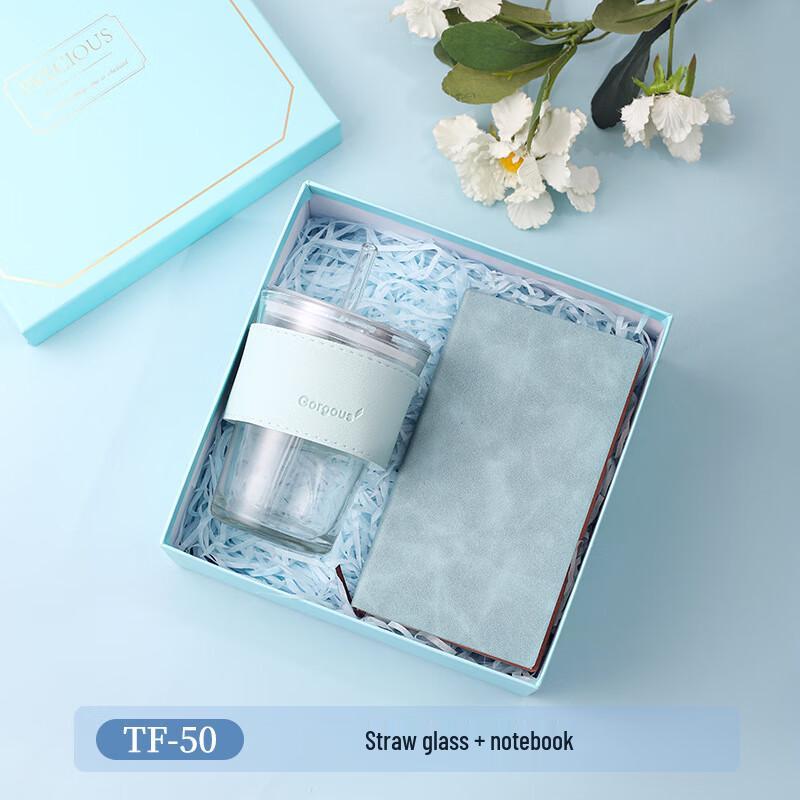 Summer Refreshing Gift Set with Straw Glass Cup and Notebook TF-50