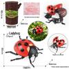 4D Insect Model Toy Set: Ladybug, Stag Beetle, Centipede, Ant, Fly, Mantis