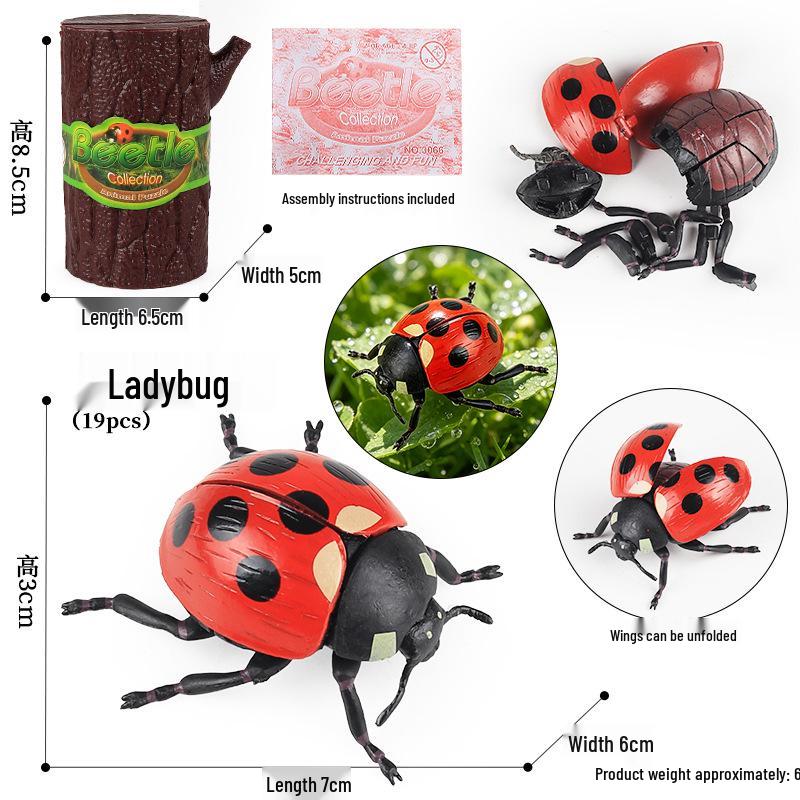 4D Insect Model Toy Set: Ladybug, Stag Beetle, Centipede, Ant, Fly, Mantis