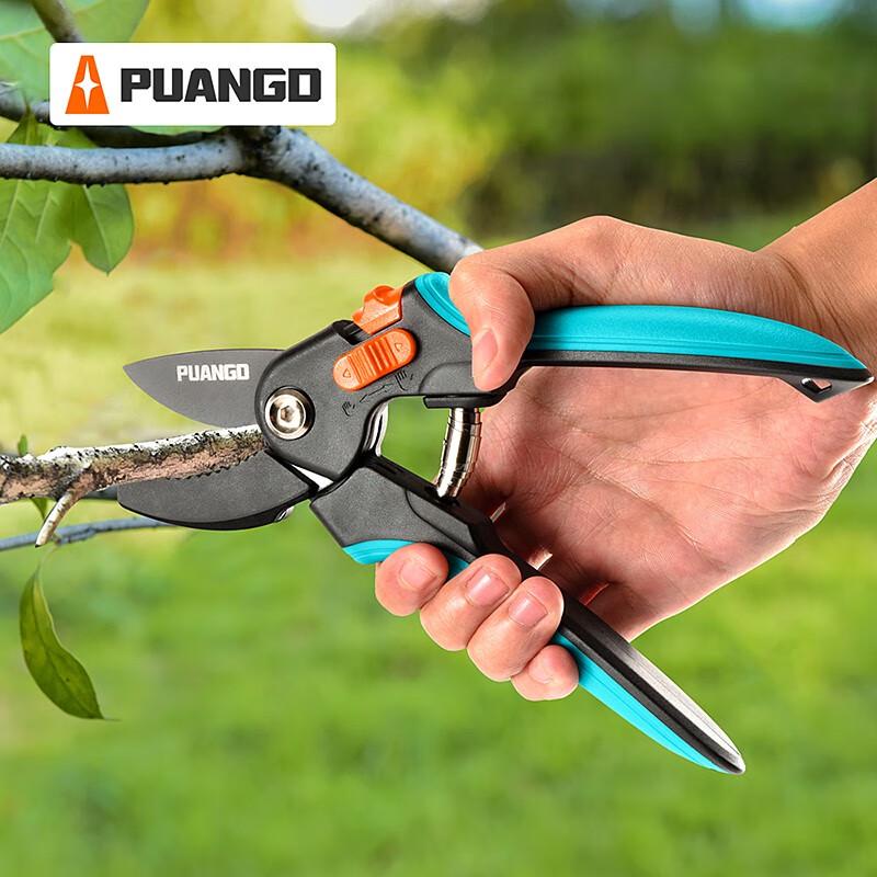 Prunde 8-inch Electric Pruning Shears CN plug (adapter included)