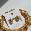 Women's Crackling Matte Interview Look Earrings