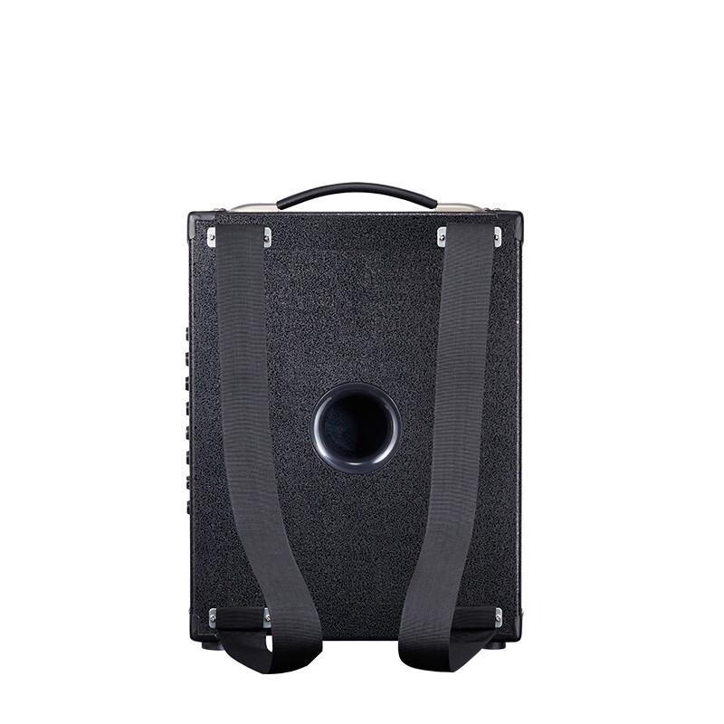 Migeer MG883A-LI Outdoor Portable PA Speaker for Guitar & Vocals