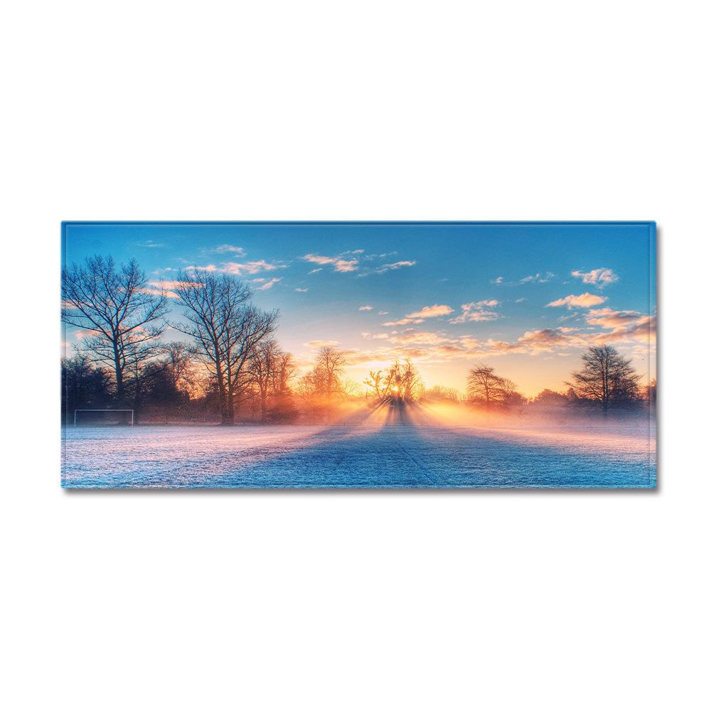 Scenic Door Mat Kitchen Dirt-Resistant Long Absorbent Non-Slip Foot Mat Bedroom Living Room Carpet Floor Mat
