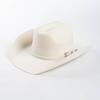 Autumn And Winter New Fashion Belt Buckle Decorative Wool Woolen Edge Wide Brim Jazz Hat Outdoor Warm Concave Top Hat