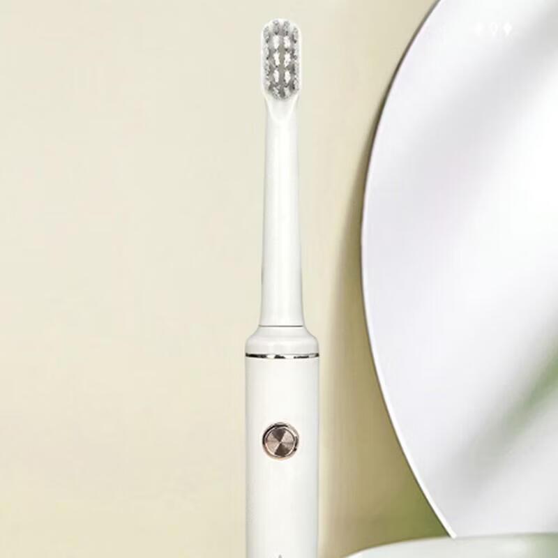 Fortinet Sonic Electric Toothbrush