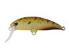 Jackall Timon Buri Buri Minnow F 40 mm Floating Lure Pumpkin (9488)