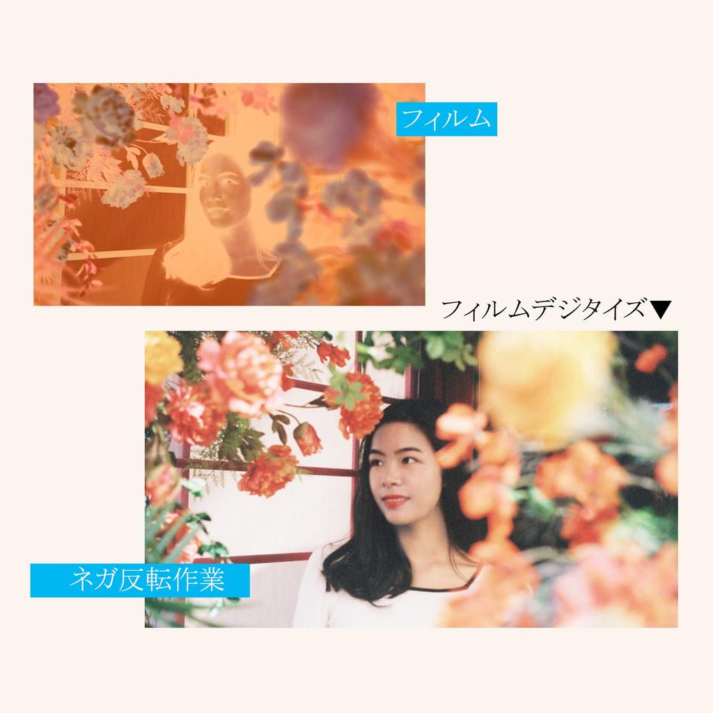 JJC Adapter do digitalizacji filmu 35mm Skaner filmu Skaner negatywów z uchwytem na film Kompatybilny z digitalizacją filmu Digitalizacją negatywów ABS