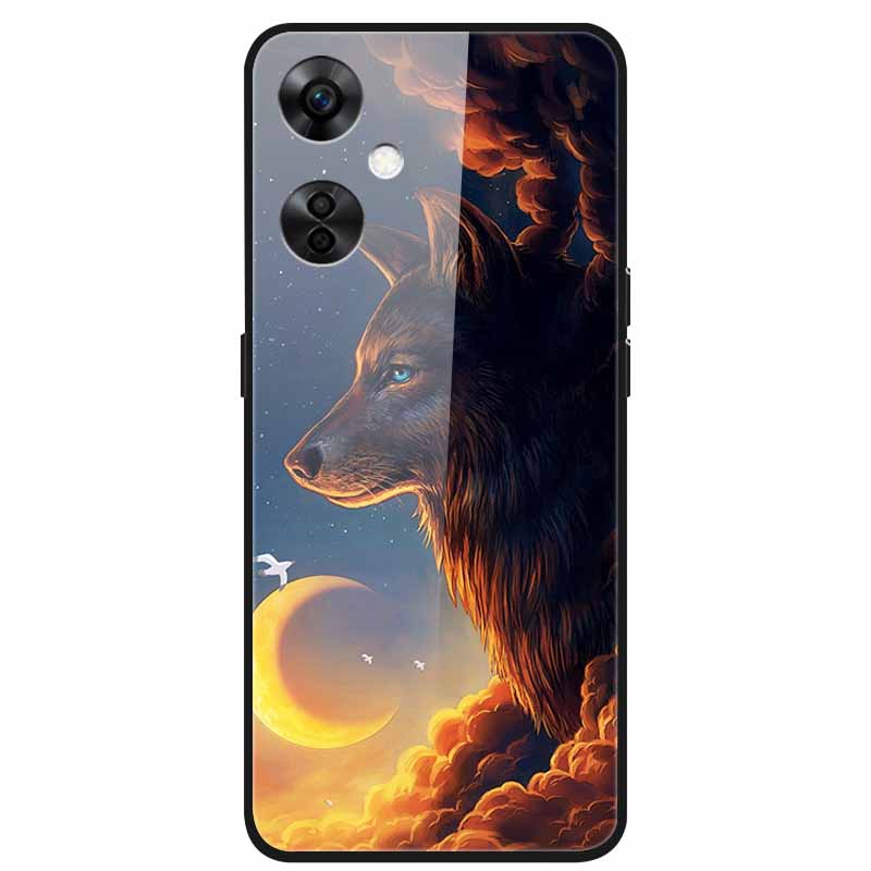 For One Plus Nord CE 3 Lite 5G Case N30 Tempered Glass Hard Back Cover for Oneplus Nord CE3 Lite N 30 Cases Bumper 3lite CE3Lite