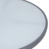 Maison Exclusive - Table de jardin Gris clair 80 cm Acier et verre