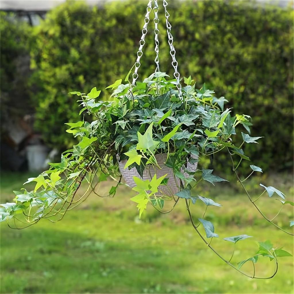 Outdoor Garden Balcony Hanging Flower Pot, Hanging Pot. Suitable for Indoor and Outdoor Green Plants