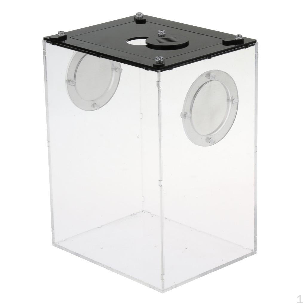 Mini Reptile Acrylic Terrarium Visually Habitat Box