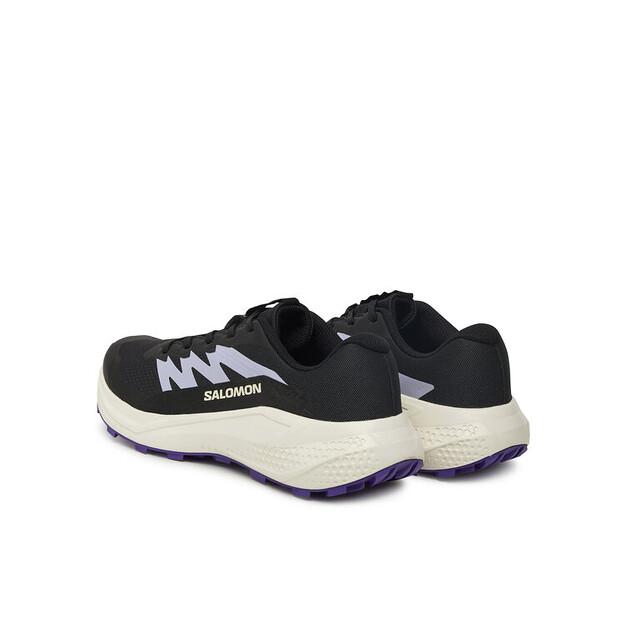 Кроссовки для бега Salomon Alphaglide