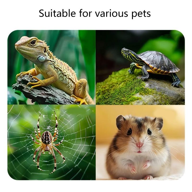 Multifunctional Transparent Reptiles Water Bowl Automatic Refill Function Reptiles Multi Level Design