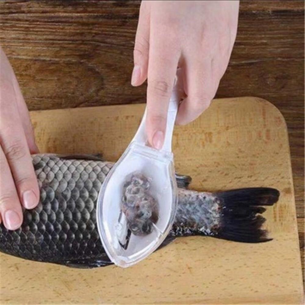 with Container Fish Cleaning Tool Fast Remove Fish Skin Brush Home Kitchen Cooking