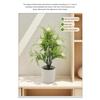 Multicolor Kunstmatige Roos Bloemen Bonsai Groen Gras Foto Requisieten Lente Gras Potplant Wit Bloempot Waterdicht