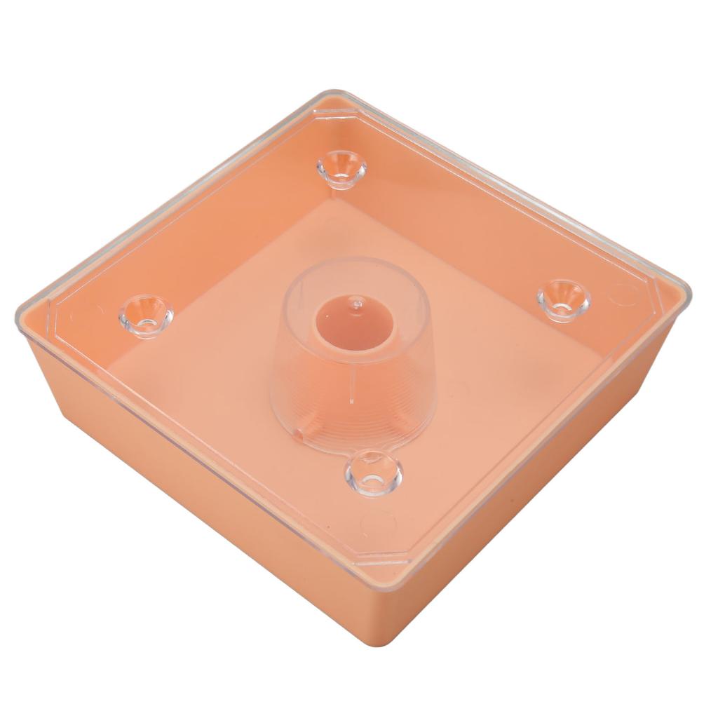 Acryl Kolibri Feeder Outdoor Beehive Top Feeder Platz Imkerei Wasser Feeder