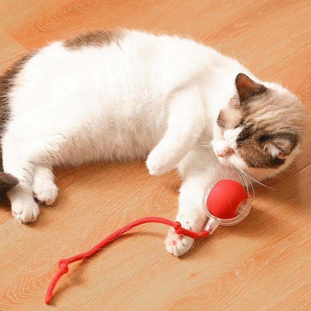 New Cat Interactive Ball Toy,Automatic Rolling Cat Ball Rechargeable,Smart Kitten Interactive Toy,Intelligent Balls Toy for Cat