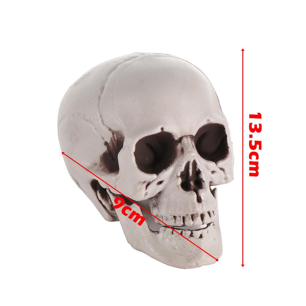 All Size Terrible Human Skeleton Skull Head Halloween Props Skeleton for Bars/Coffee Bars/Haunted Houses/Halloween Party Decor
