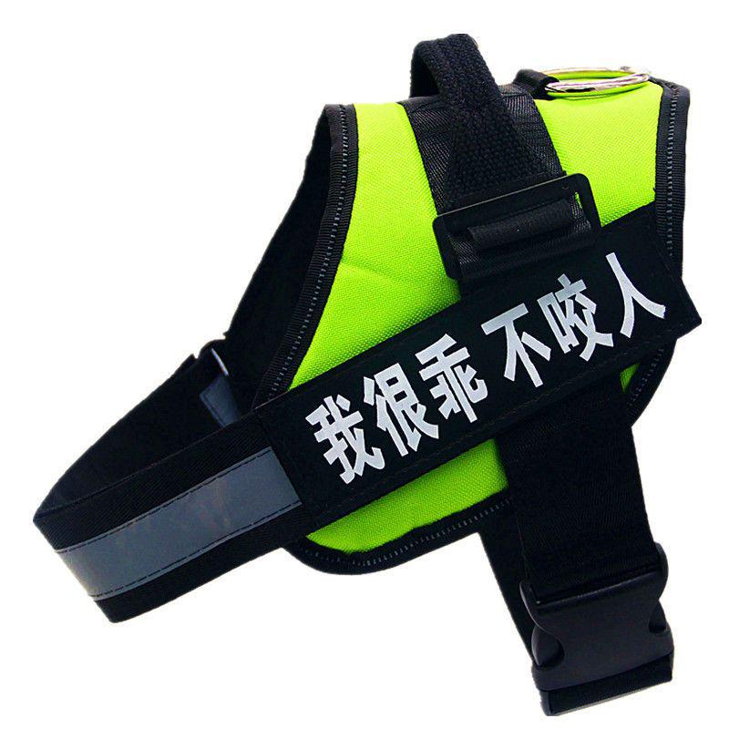 

Поводок для собаки среднего/крупного размера: Цепная шлейка для золотистого ретривера, хаски, тедди XS (8-15 jin)