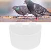Kuş – Besleme ve Sulama Malzemeleri