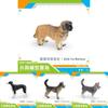 Pvc Toy Small Breed Dog Animal Model For Kids Play And Educational Use