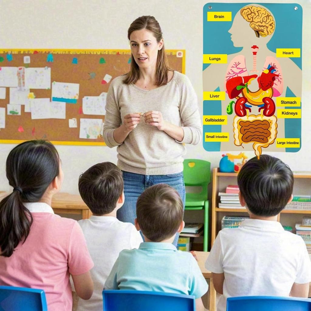 Non-Toxic Human Body Parts Felt Board Stories For Kids Montessori Toys Sensory Activities Teaching Daycare Preschool Learning Educational