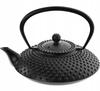 CAST IRON KETTLE INFUSER FOR TEA AND HERBS