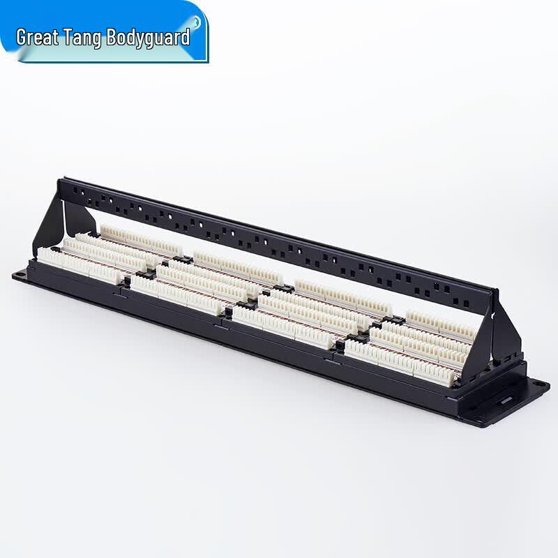 Datang Bodyguard Cat5e 48-Port Network Patch Panel