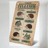 Vintage 'Types of Hedgehog' Educational Metal Sign - North African & Soika Hedgehog Varieties Illustrations, Retro Hand-Drawn Po