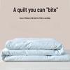 Xihe Mulberry Silk Quilt