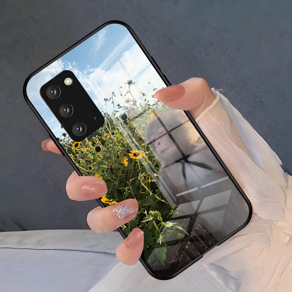 

Funny Monkey Phone Case For Samsung A25 A13 A33 5G A54 A36 A35 A56 A52 A14 Shockproof Glass Cover Samsung A24 4G