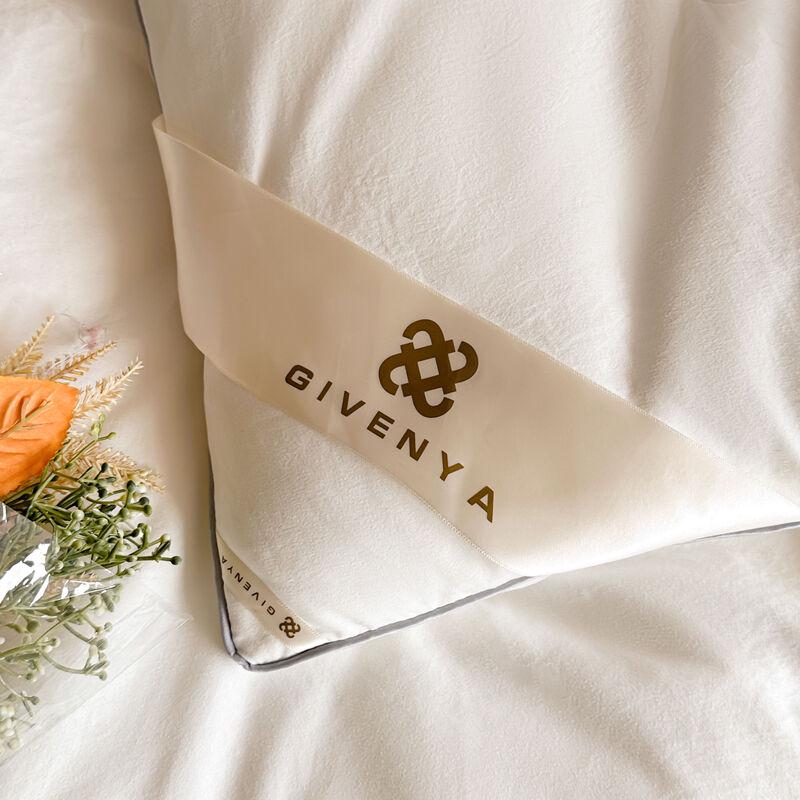 Fangwang Silkworm Protein Antibacterial Quilt